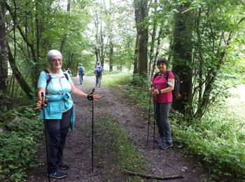 Tocht Noords wandelen Saint-Paul-de-Varces - Circuit Saint Paul De  Varces - Photo