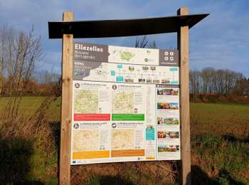 Trail Walking Ellezelles - Marche Adeps à Ellezelles - Photo