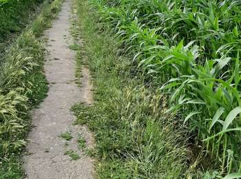 Trail Walking Seneffe - Feluy adeps - Photo