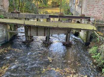 Trail Walking Brugelette - Brugelette-chemin vers Lens - Cambron casteau - Photo
