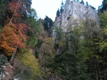 Trail Walking La Frasnée - La Frasnée - Photo