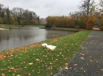 Trail Walking Enghien - 32.626 Enghien - Tour de Ville  - Photo