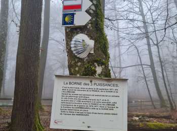 Trail Walking Réchésy - Reco en solo Rando du 13/02/2025 - Photo