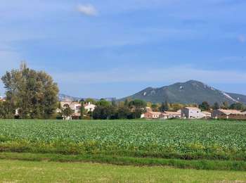 Percorso Marcia Charols - 2022-10-01_18h01m37_13052196 - Photo