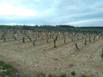 Trail Electric bike Jussy - jussy 09 avril. 2024 - Photo