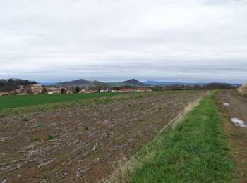 Percorso A piedi Saint-Georges-sur-Allier - Saint-Georges-sur-Allier - Photo