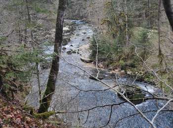 Trail Walking Conte - source de l'Ain - Photo