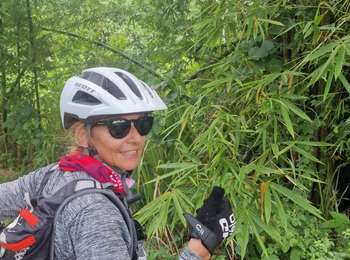 Excursión Bici eléctrica Petit-Bourg - inra14062023 - Photo