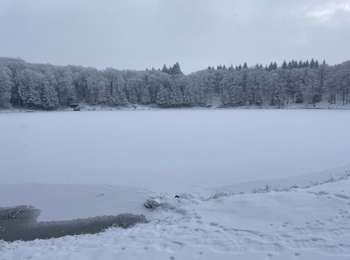 Percorso Marcia Picherande - Picherande  - Photo