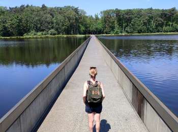 Excursión Senderismo Genk - Promenade vers la piste dans l'eau, dans le magnifique domaine de Bokrijk  - Photo