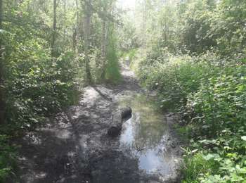 Trail Walking Mons - Cuesmes - Héribus - Photo