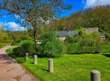 Trail Walking Thuin - Balade dans le Bois du Grand Bon Dieu-Thuin - Photo