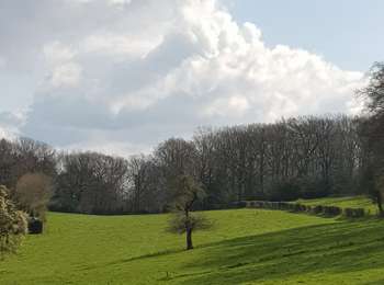 Percorso Marcia Jalhay - La boucle du dragon et du lion - Photo