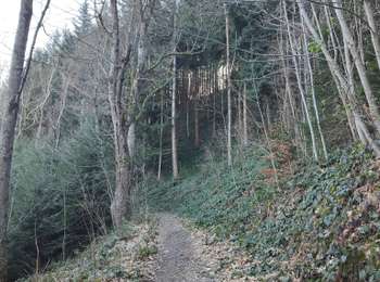 Percorso Marcia Planfoy - Planfoy - pont Souvignet- barrage pas de Riot et du gouffre d'enfer  - Photo
