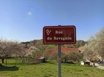Trail Walking Pupillin - 03-04-21 vignes pupillin  - Photo