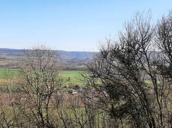 Trail Walking Mantry - sentiers de découverte Brery Mantry - Photo