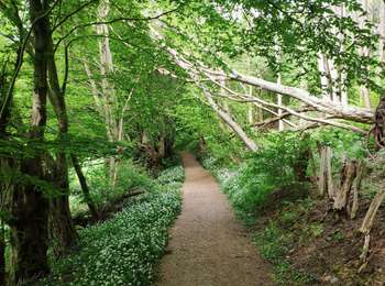 Excursión Bici de montaña Trooz - Par La Raye - Photo