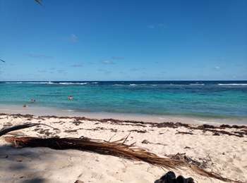 Excursión Bici eléctrica La Désirade - La Désirade - Photo