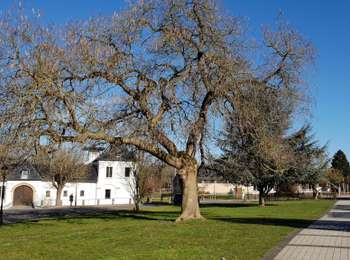 Percorso Bicicletta elettrica Ronse - Renaix - Louise Marie (chemins boisés) - Photo