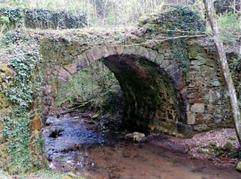 Percorso Marcia Sermentizon - Sermentizon_Chemin_Lilion - Photo