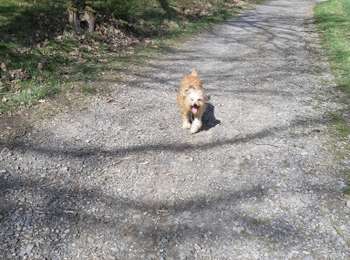Tocht Stappen Mont-Saint-Guibert - mont saint guibert  - Photo