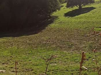 Trail Mountain bike Faucogney-et-la-Mer - Faucogney  - Photo