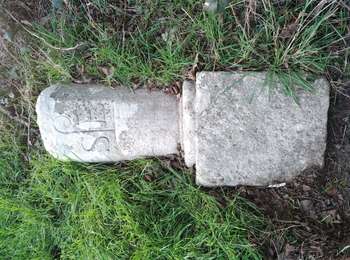 Trail Walking Héry - BORNE ZC11 - Borne Couchée RD91  - Photo