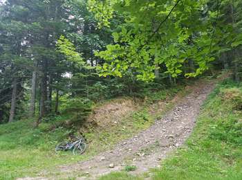 Percorso Mountainbike Seyssins - Les Hauts du Peuil en VTTAE  - Photo