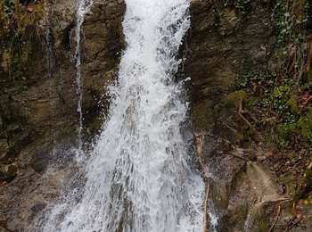 Trail Walking Onoz - onoz-fay-bourlaches - Photo