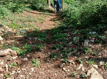 Trail Walking Gevingey - ge - Photo