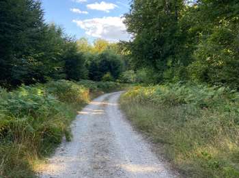 Trail Walking Neurey-en-Vaux - Autour de Neurey en vaux ( idéal en été )  - Photo