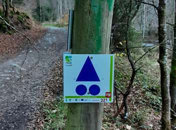 Randonnée V.T.T. La Roche-en-Ardenne - 17 novembre  - Photo