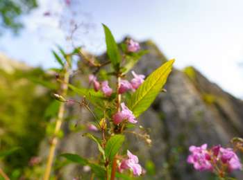 Trail Walking Hotton - Promenade Hotton - 9- Fond des Trottes - Photo