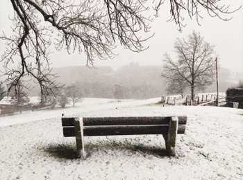 Tocht Stappen Lierneux - Promenade sur les hauteurs enneigées de Lierneux  - Photo