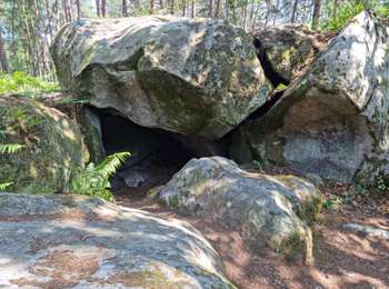 Tour Wandern Fontainebleau - Fontainebleau sentier Denecourt 8 - Photo