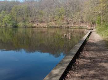 Randonnée Marche Vélizy-Villacoublay - Étangs de Meudon - Photo