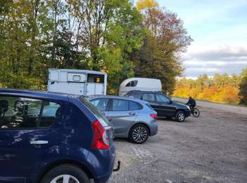 Tour Pferd Karlheim - Wikiloc - Gondreville - Les secrets des bois - Photo