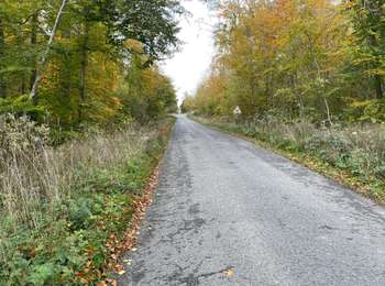 Tocht Stappen Saint-Jean-aux-Bois - 53_10_2025_autour des Grands Monts - Photo