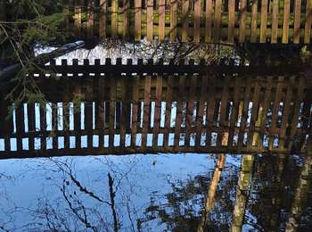 Tour Wandern Bonlieu - Lac de Bonlieu  - Photo
