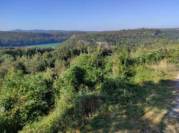Trail Walking Barésia-sur-l'Ain - Soucia - Photo