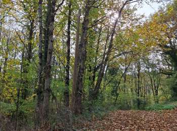 Tour Wandern Curvalle - Le sentier des vignes et des Vergers - Photo