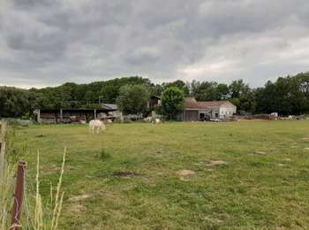 Trail Walking Binche - Buvrinnes 25 07 20 - Photo