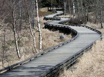 Tocht Stappen Waimes - Wandering Peak Beer Grand cru (new) - Photo