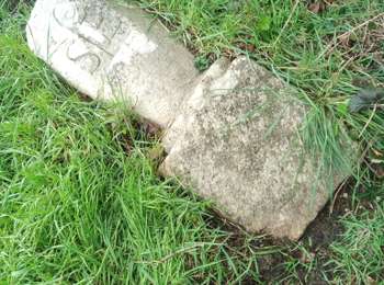 Trail Walking Vergigny - ZC11 - Photo