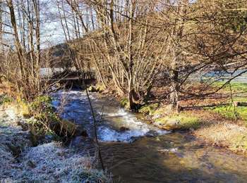Trail Walking Stoumont - Promenade au départ de Moulin du Ruy  - Photo