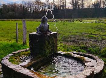 Trail Walking Braives - La Rainette des marais   - Photo