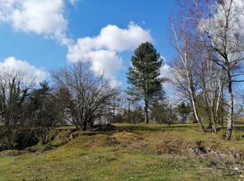 Trail Walking Ferrières - GG-Lu-15_Sy - Barvaux - Photo