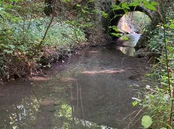 Randonnée Marche Magny-les-Hameaux - Merantaise réel - Photo