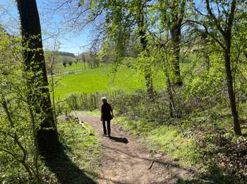 Tocht Stappen Lasne - Autour d’Ohain - Photo