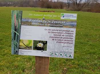 Excursión Bici de montaña Saint-Clément - sortie vtt du 12012020 Ogeviller - Photo